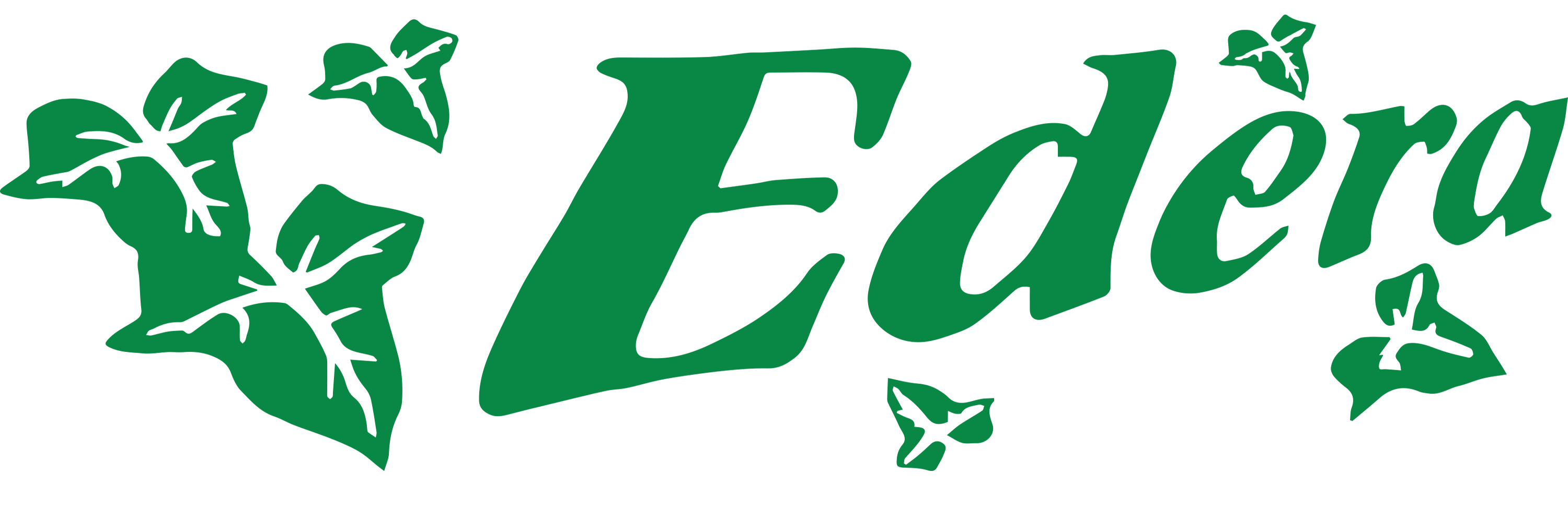Ristorante Pizzeria Edera